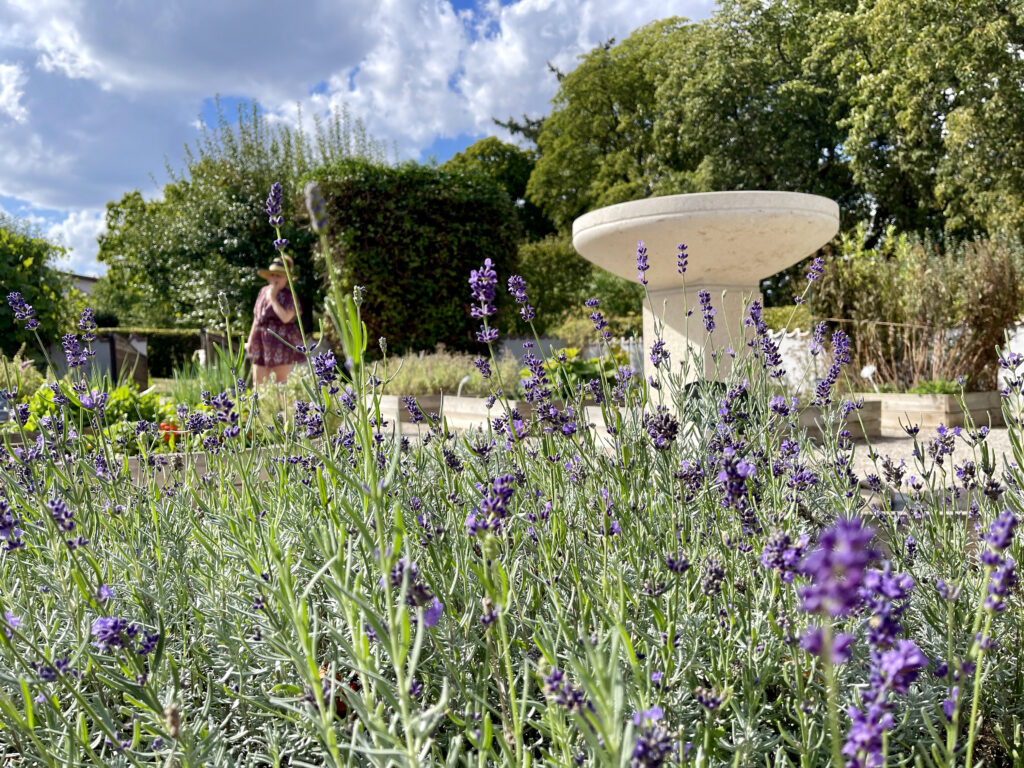 Im Kräutergarten vom Hildegardforum auf dem Rochusberg