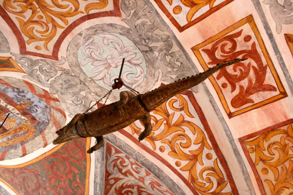 Krokodil auf Burg Forchtenstein