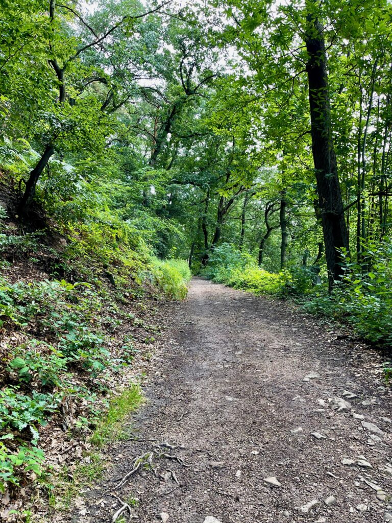 Wandern Heidelberg