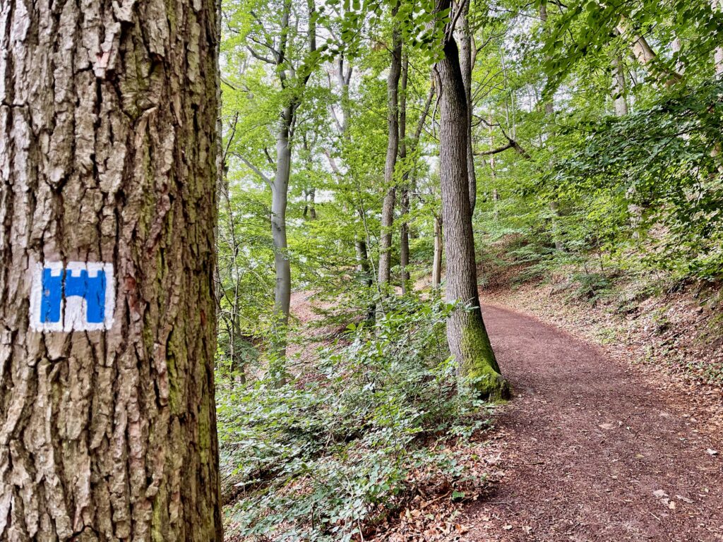 Wanderweg Heidelberg