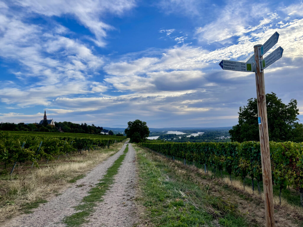 Wandern auf dem Rochusberg Bingen
