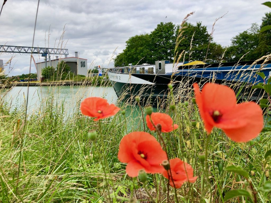 Blogger-Event in Hamm… und was ein Elefant damit zu tun hat!