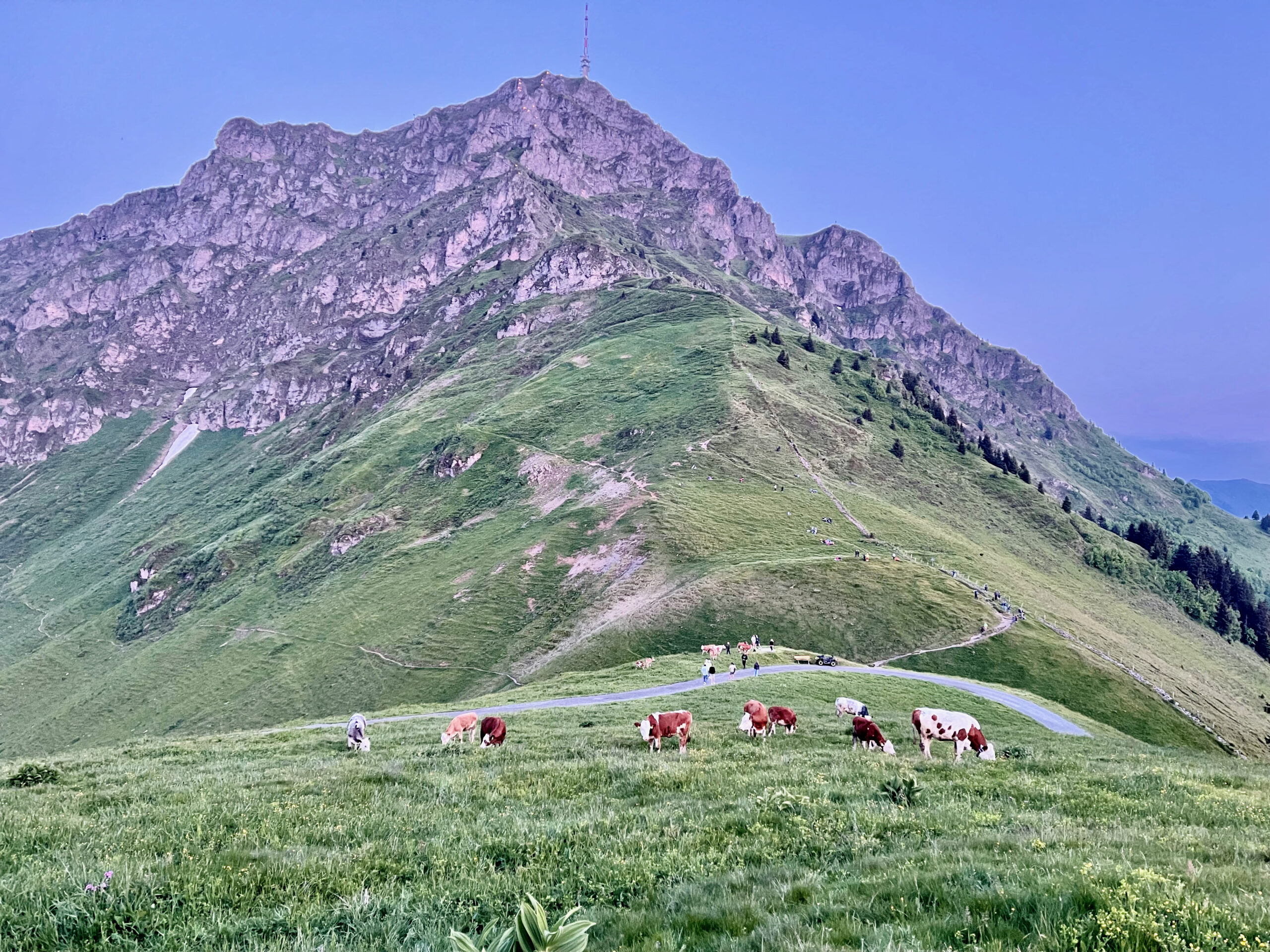 Harschbichlalm Kitzbueheler Alpen