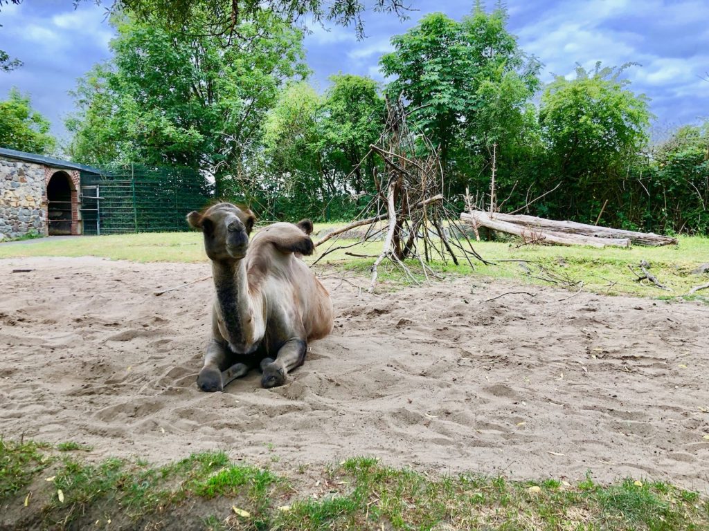 Tierpark Hamm