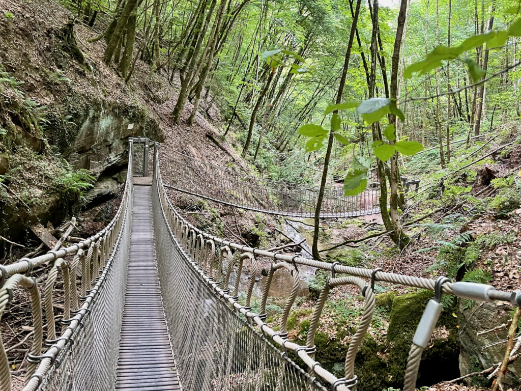 Haengebruecke Butzerbachtal Rheinland Pfalz