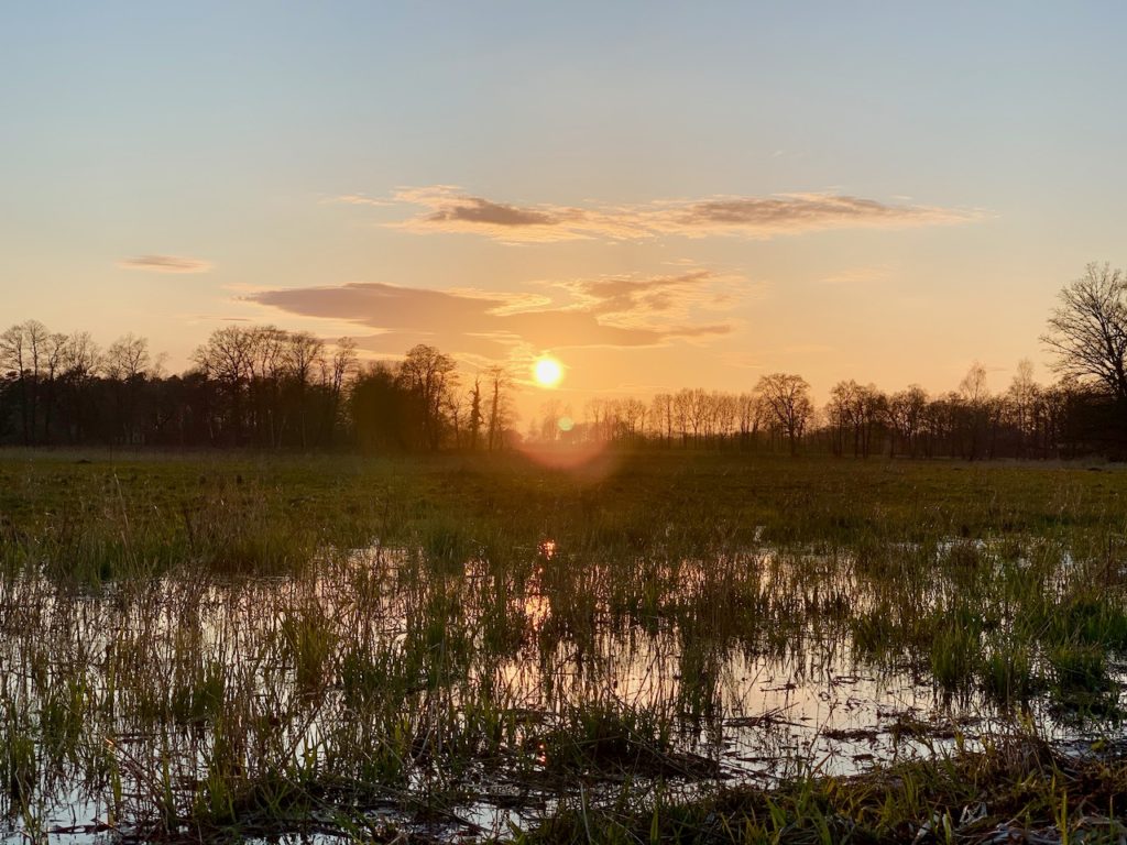 Nordpfade Niedersachsen