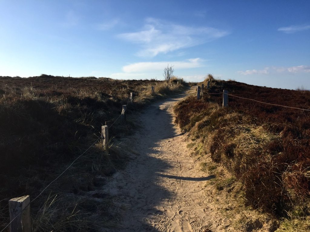 Sylt Aktivurlaub Wandern auf Sylt