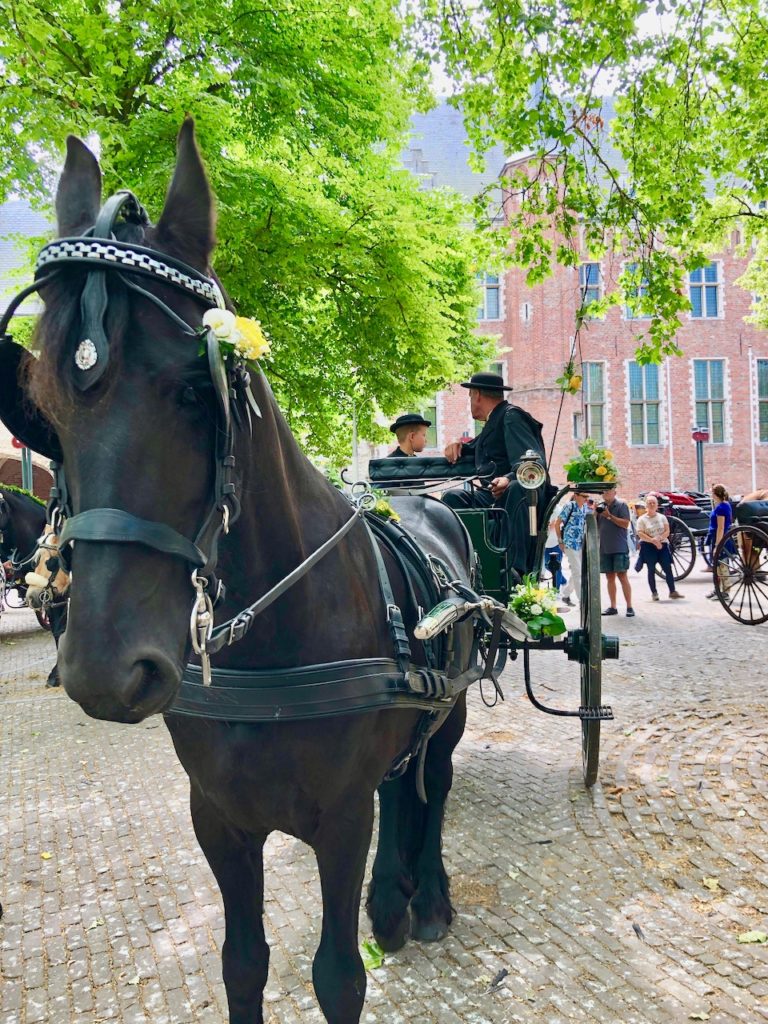 Middelburg Markt