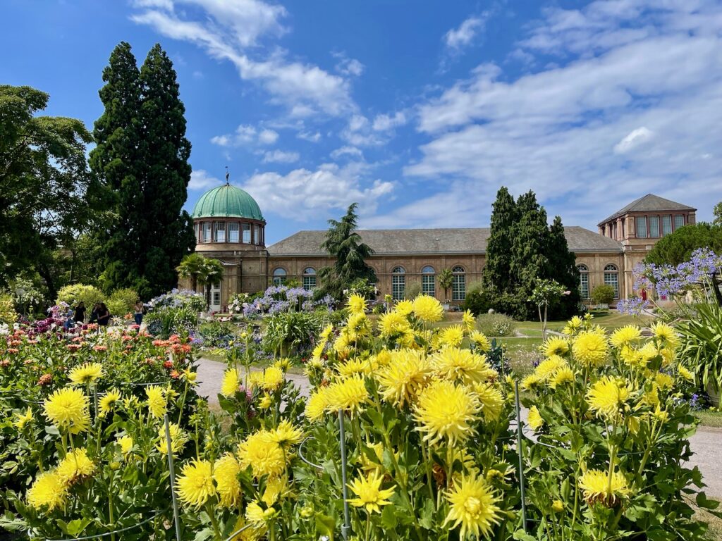Botanischer Garten Karlsruhe