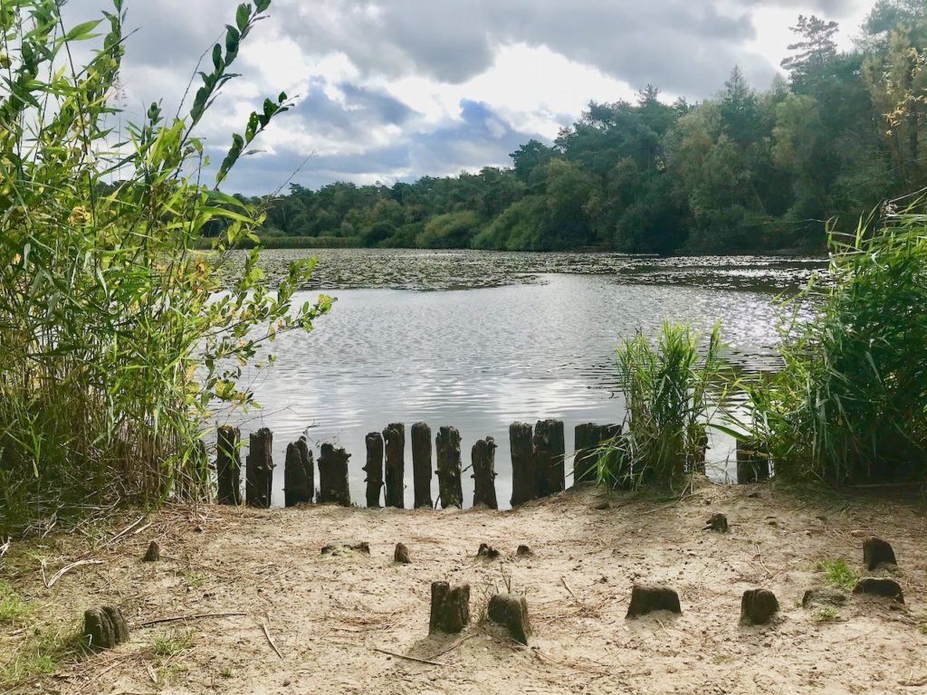 Wandern Nordsee Finkenmoor Sahlenburg