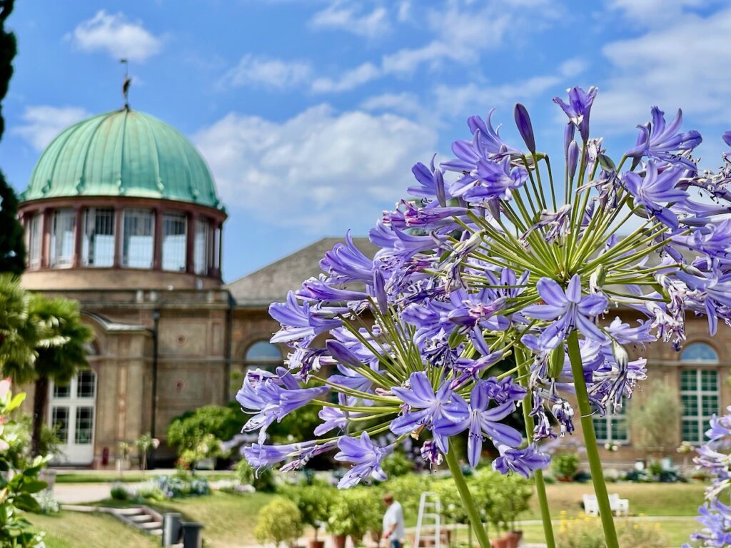 Botanische Garten Karlsruhe