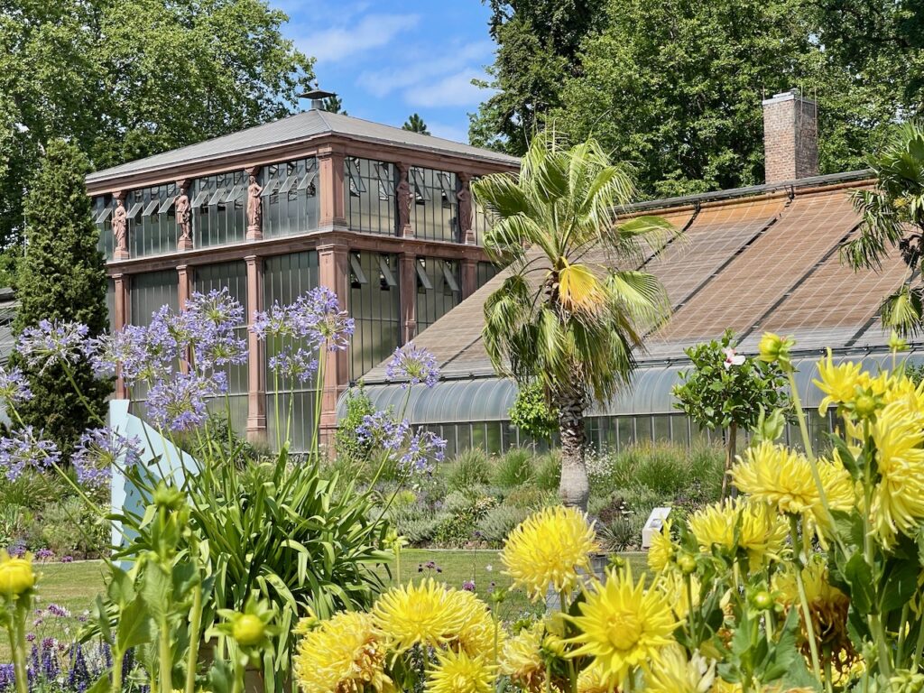 Botanischer Garten Karlsruhe