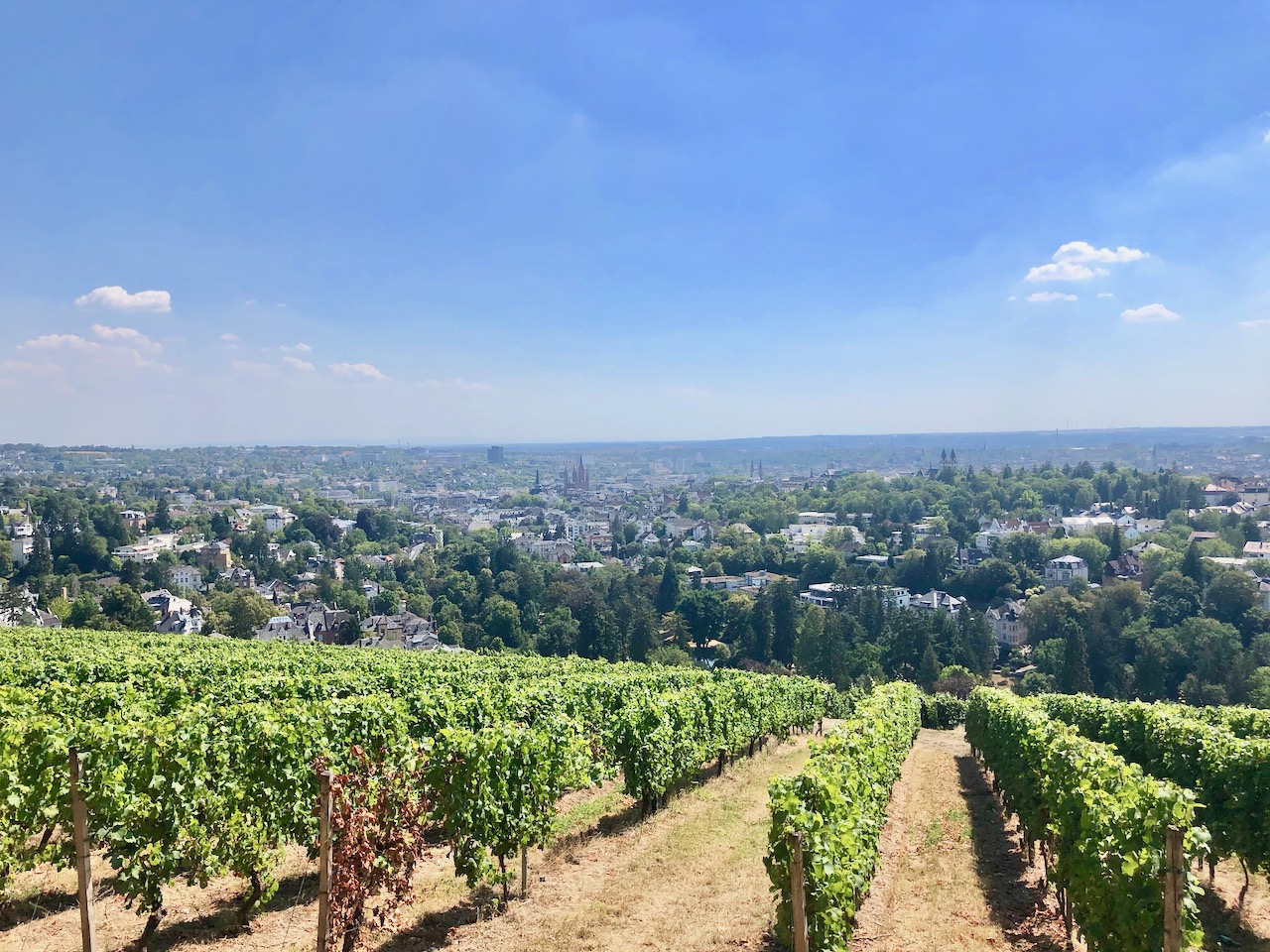 Eine Stadt voller Facetten: Wiesbaden Sehenswürdigkeiten, Wellness & mehr!