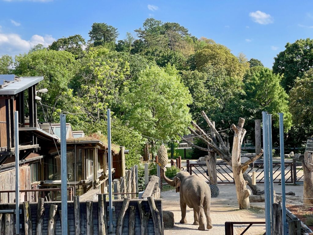 Zoo Karlsruhe