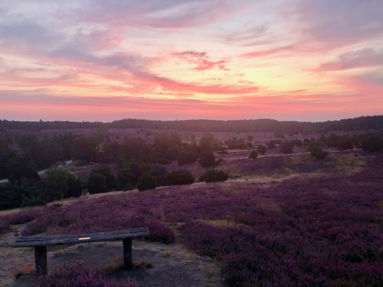 Wandern auf dem Heidschnuckenweg: Die schönsten Etappen durch die Lüneburger Heide