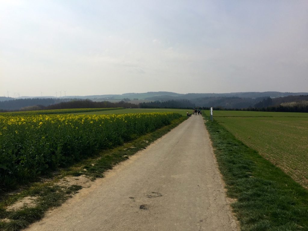 Auf dem Weg zur Geierlay Bruecke