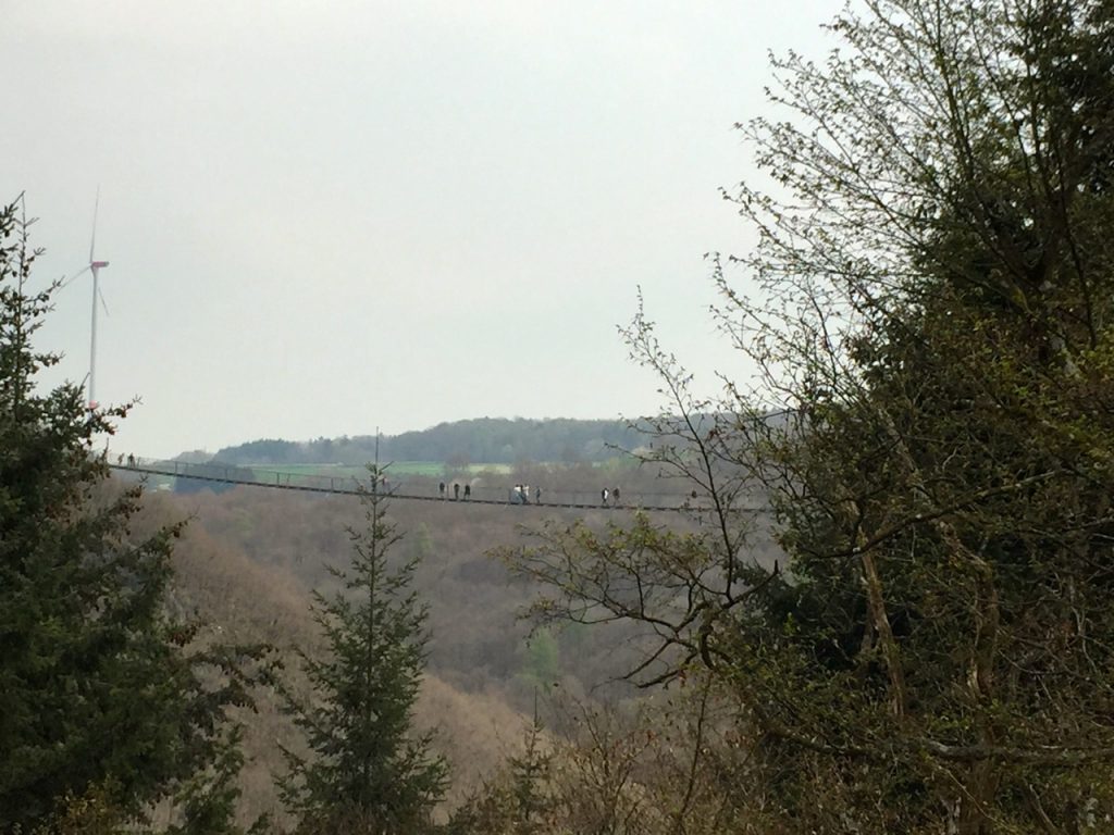 Blick zurück auf die Geierlay Brücke