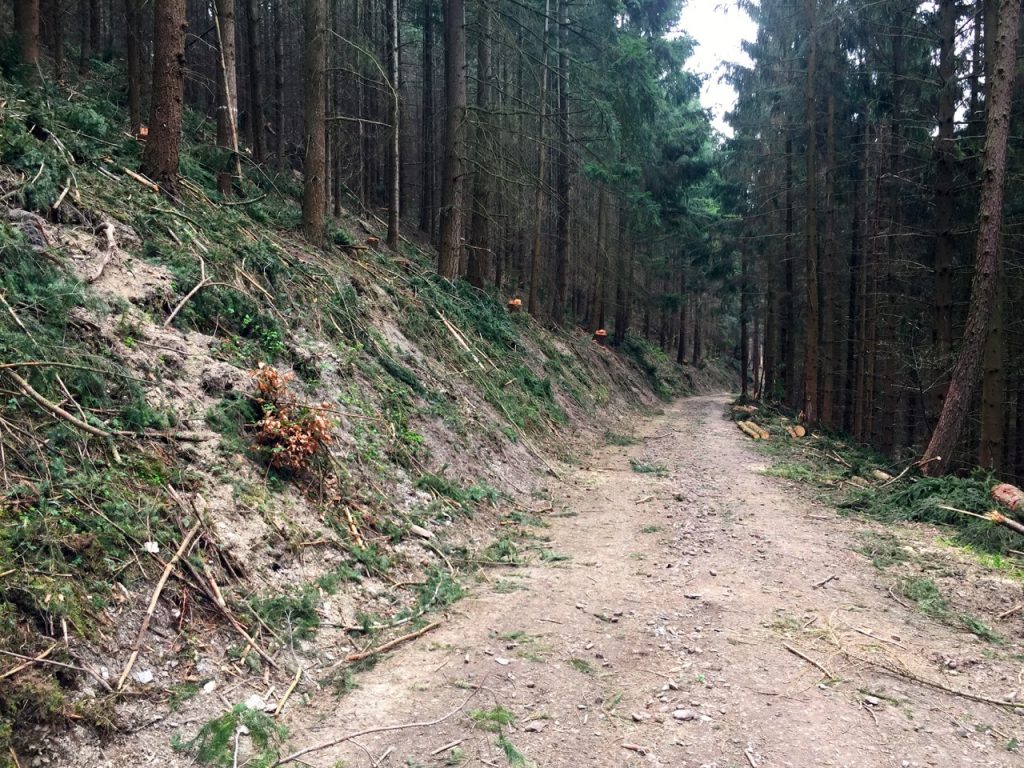 Geierlay Wanderweg 