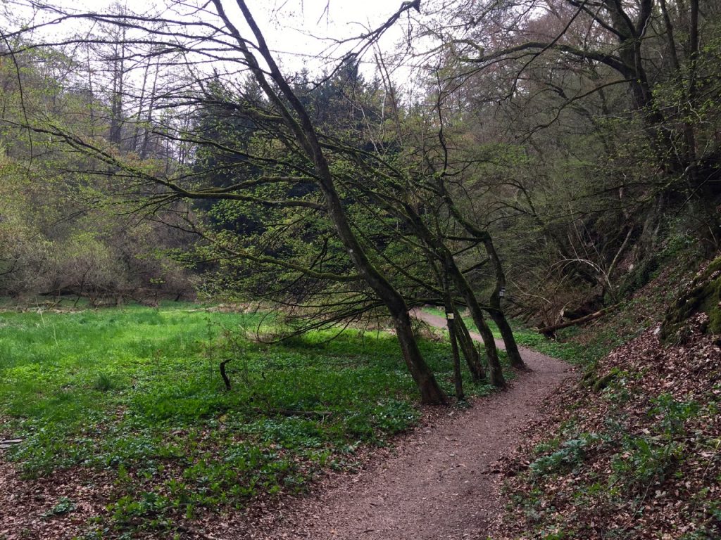 Geierlay Wanderweg