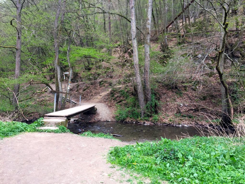 Geierlay Wanderweg - im Bachtal