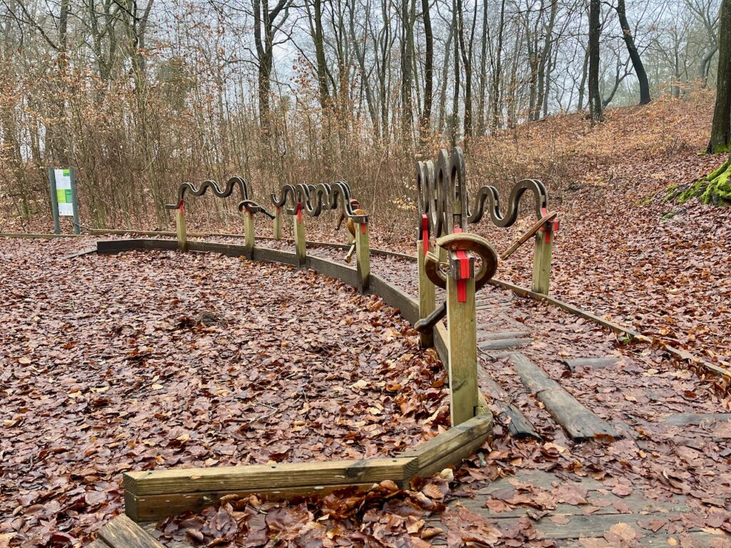 Kur und Heilwald Usedom. Spaziergang durch den Wald, Pause an einer Aktivstation.