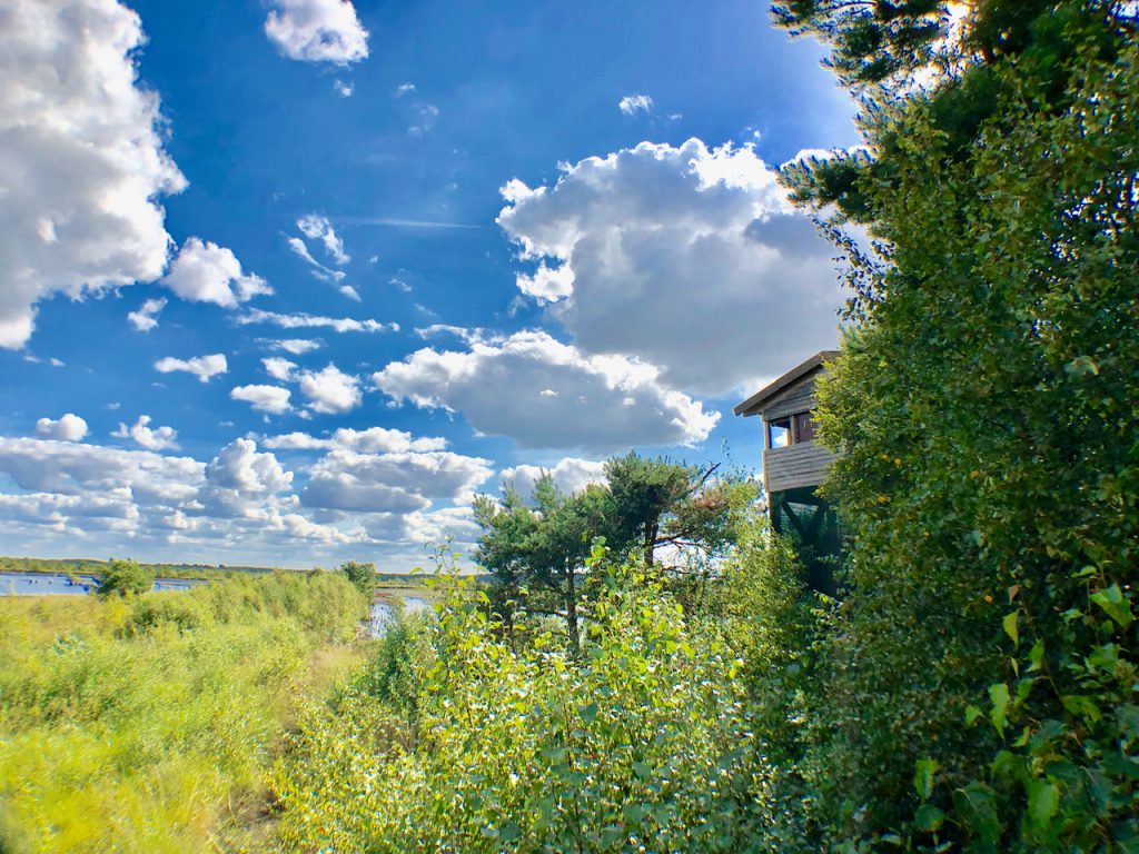 Tister Moor Aussichtsturm