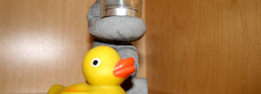 Wellnss-Ente im Resort Mark Brandenburg