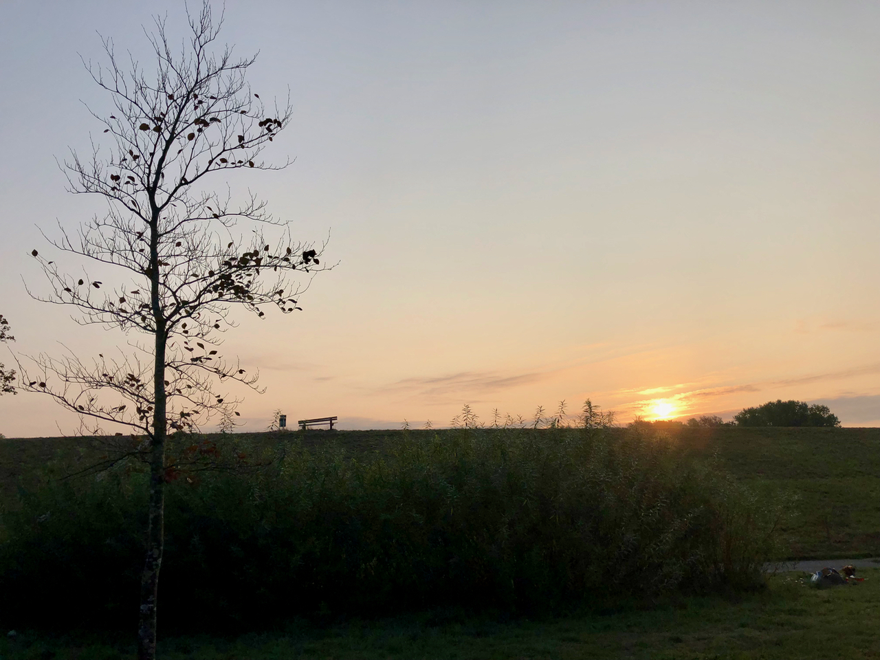 Sonnenaufgang Stade am Deich