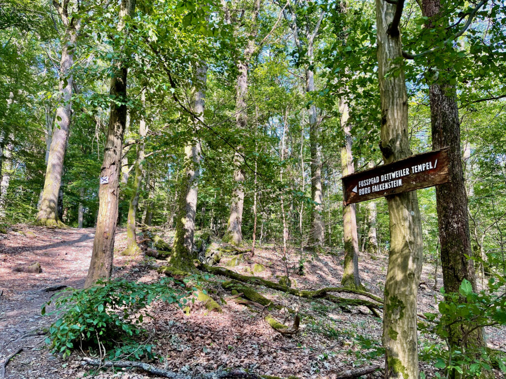 Heilklima Wanderung Koenigstein im Taunus