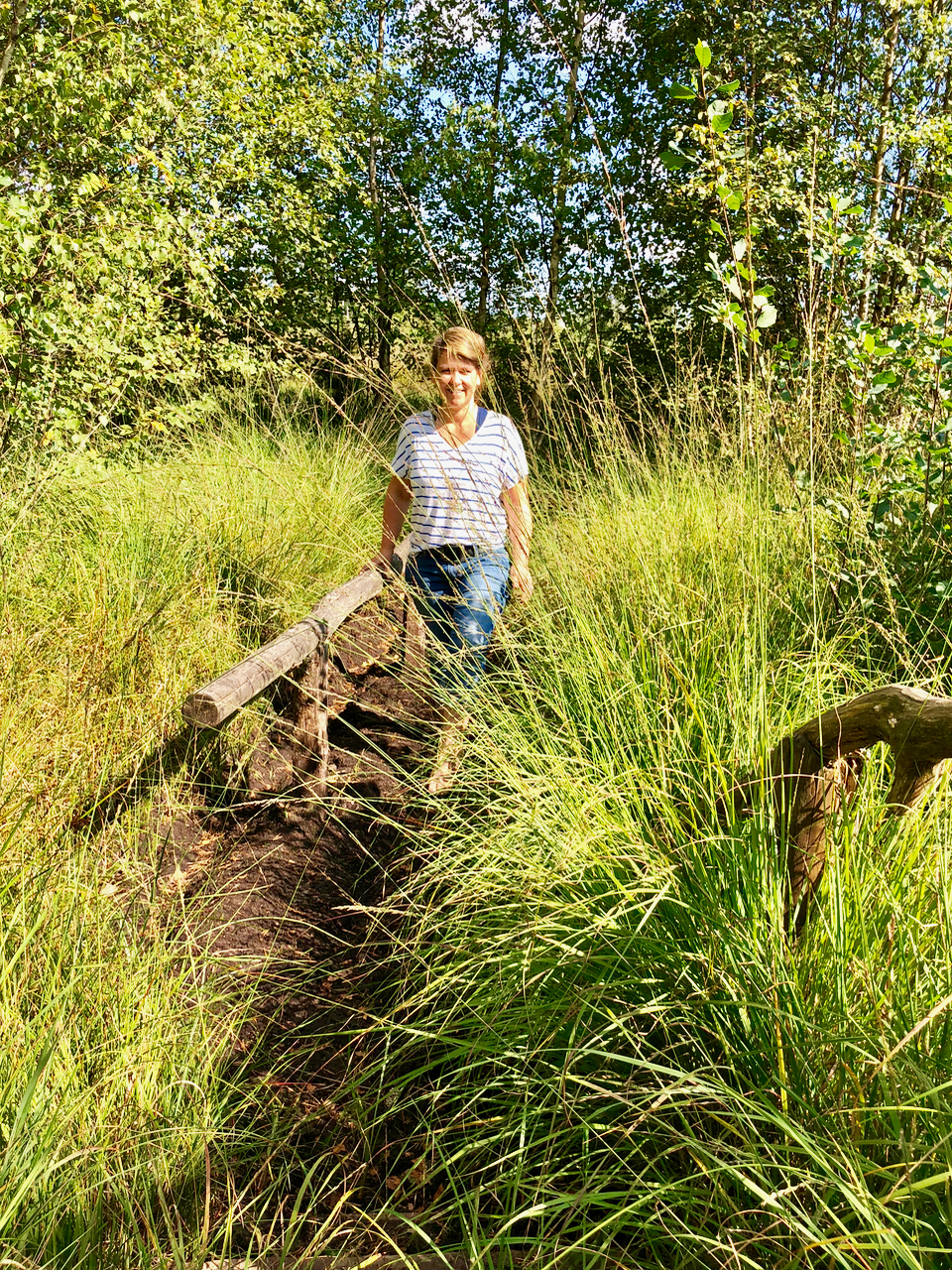 Moorpedden im Tister Bauernmoor