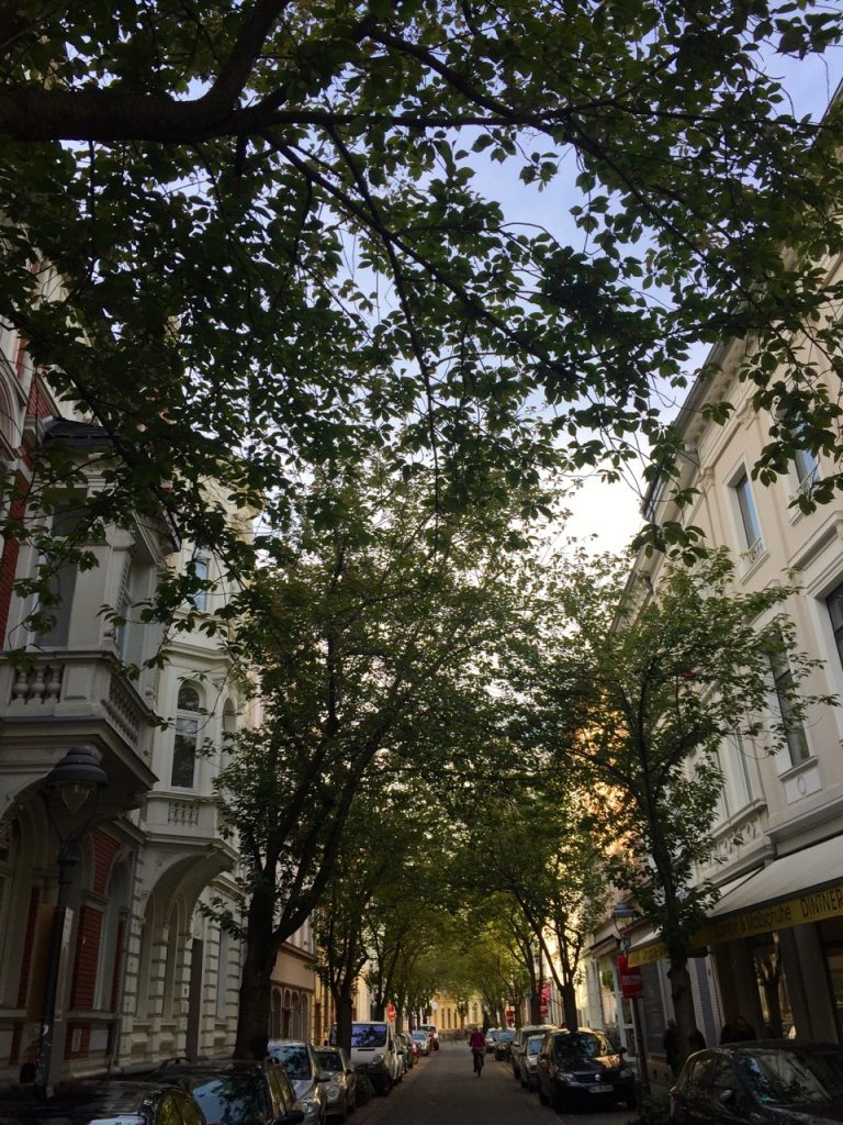 Rundgang durch die Altstadt Bonn