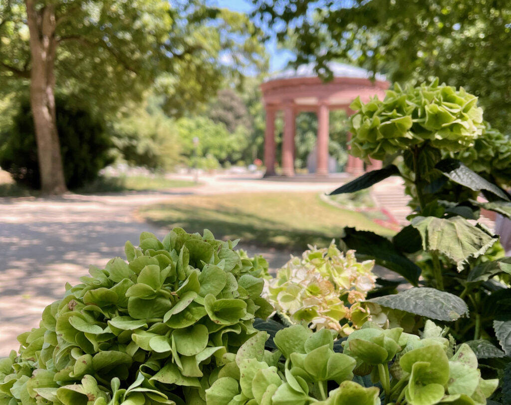 Kurpark Bad Homburg