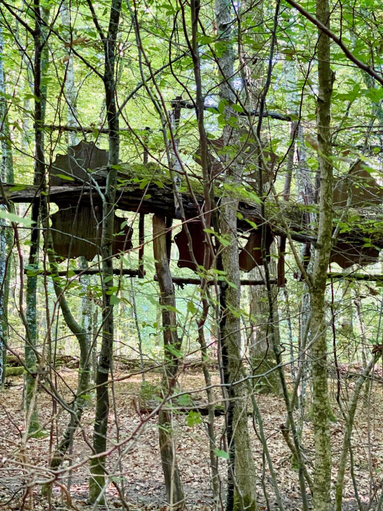 Wald fuer die Seele Klauswald Bad Kissingen