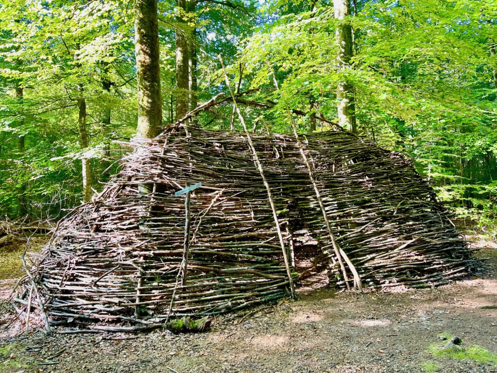 Wald fuer die Seele Bad Kissingen