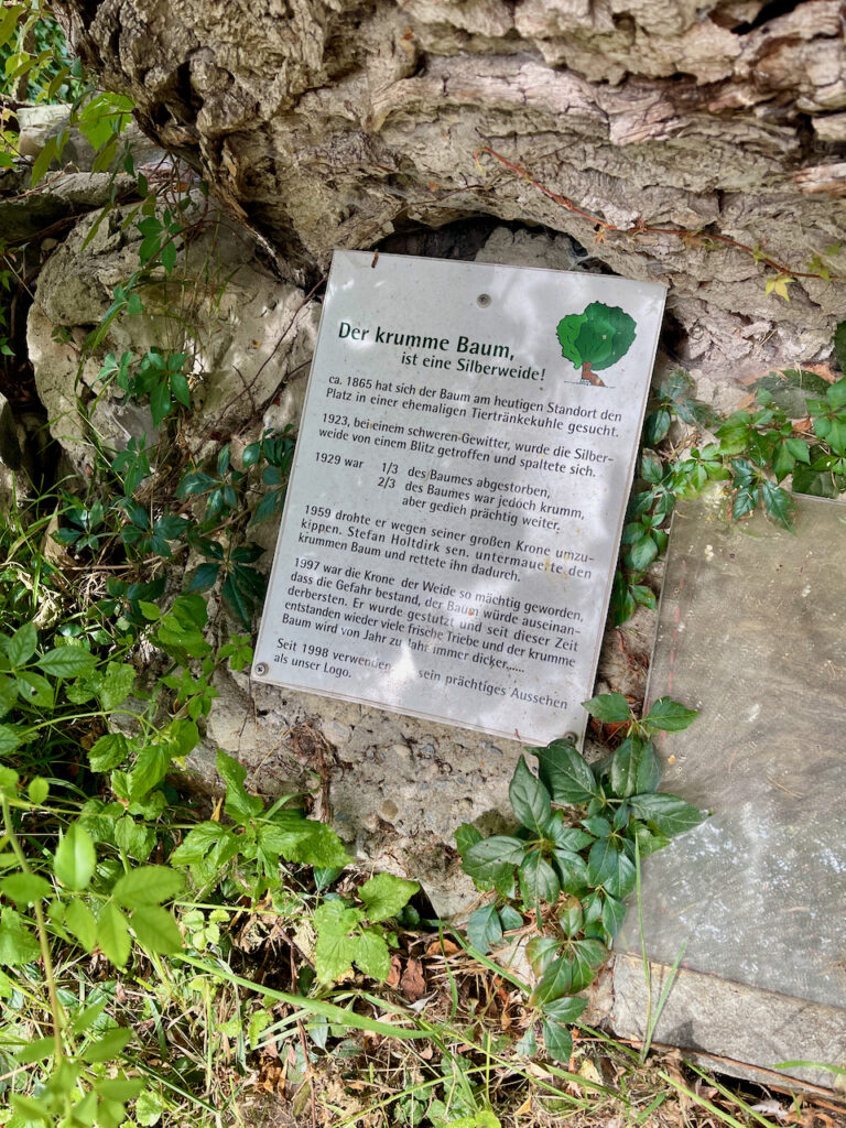 Schild am Baum im Haus Holtdirk Bad Waldliesborn