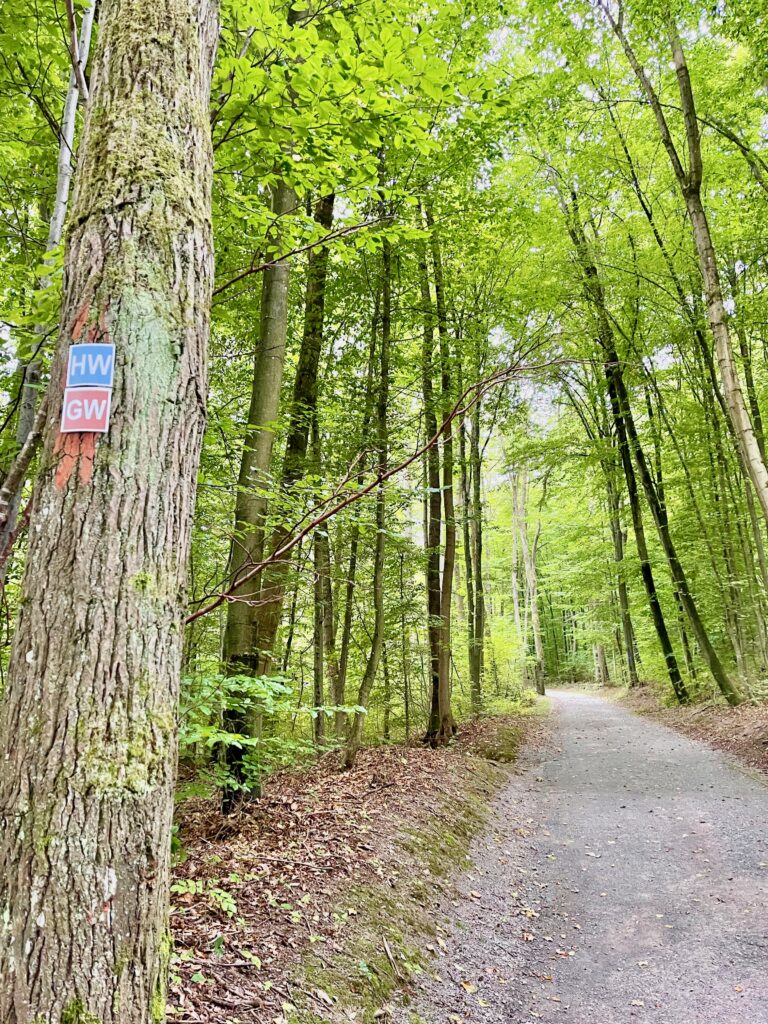 Bad Kissingen wandern