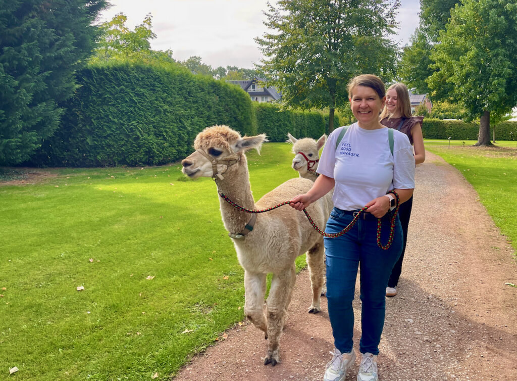 Spaziergang mit Alpaka Belmonod von EmsigeAlpakas im Kurpark von Bad Waldliesborn