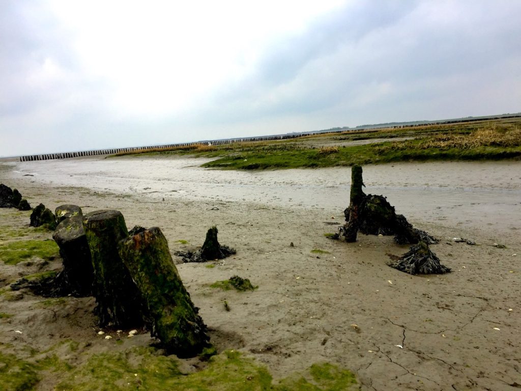 Langeoog im Watt