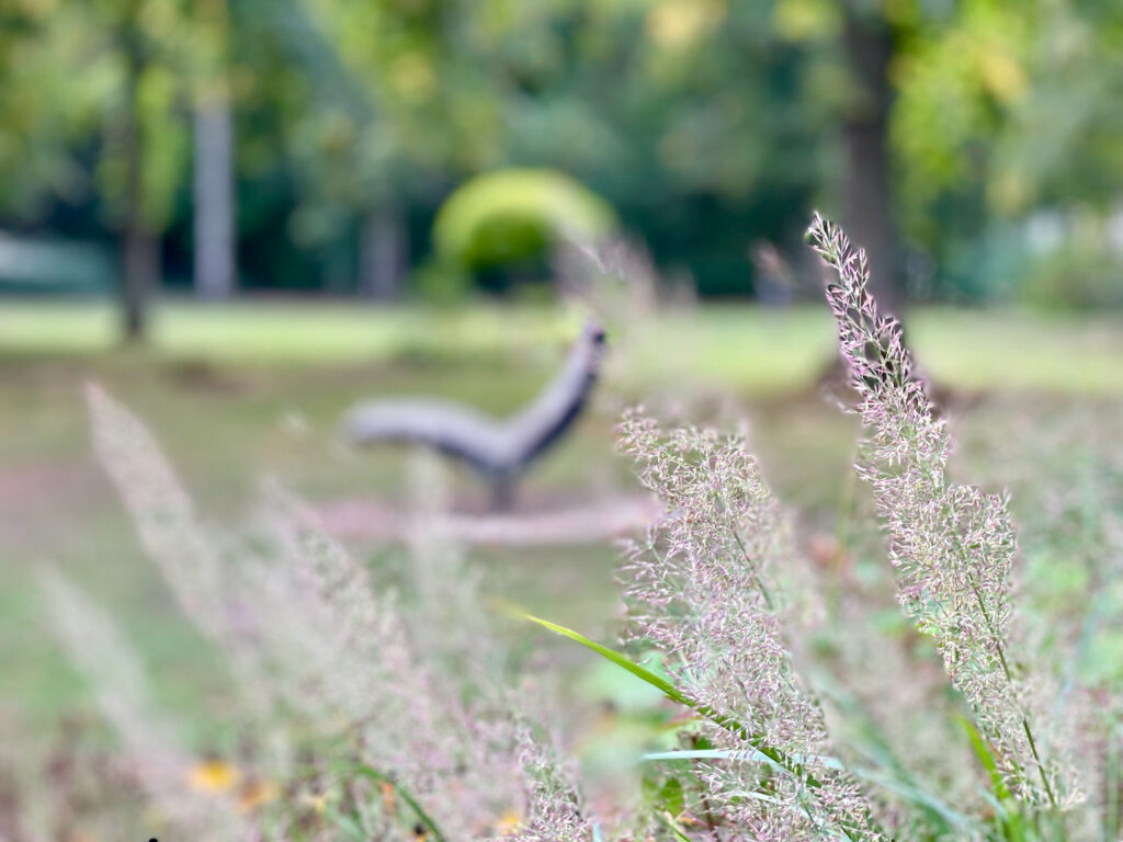 Blick durch eine Blumenbeet auf eines der Kurparksofa im Kurpark von Bad Waldliesborn