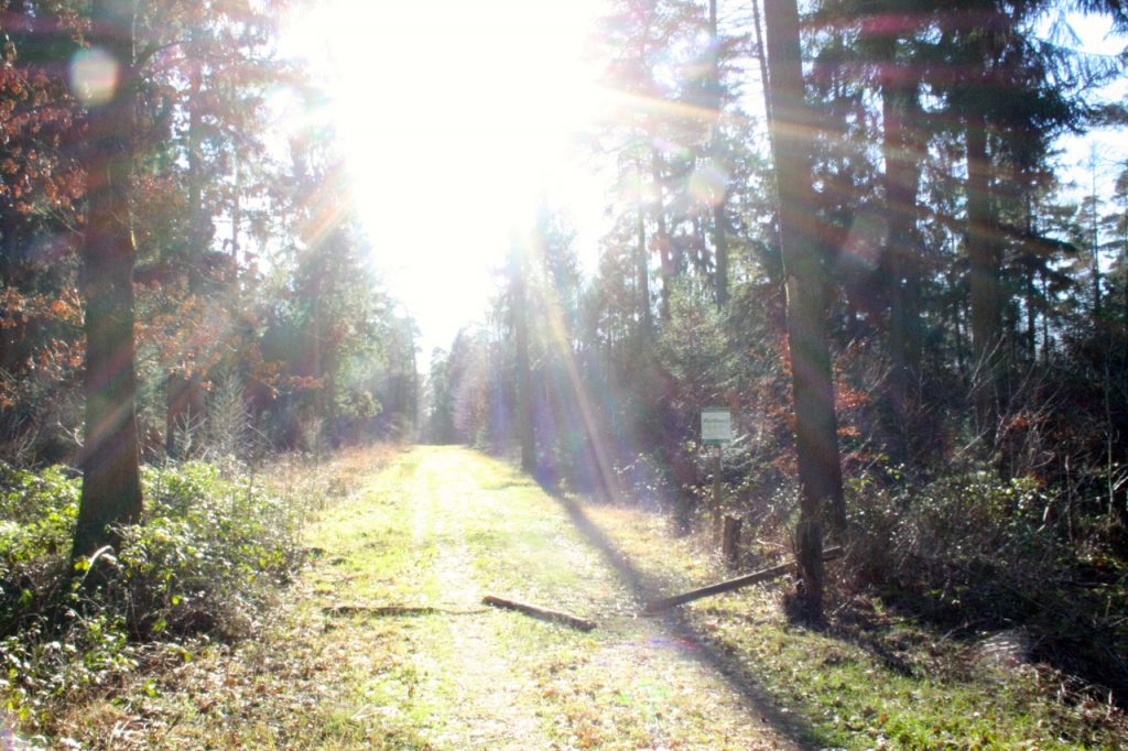 Wanderung auf den Nordpfaden - Wanderbares Deutschland