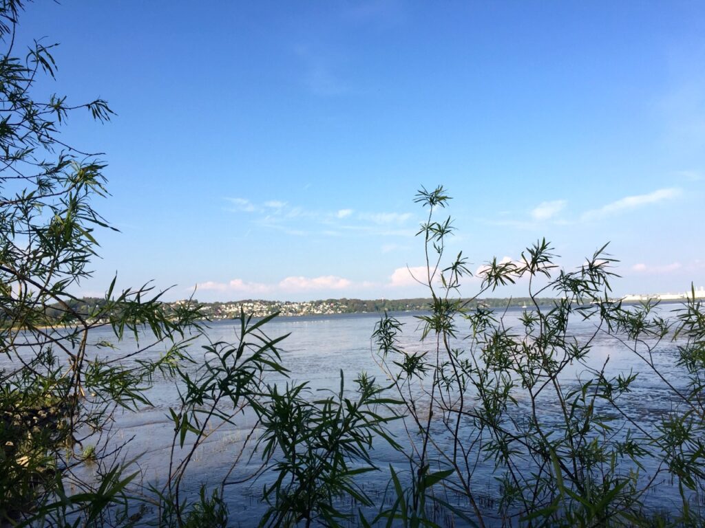 Altes Land am Elbstrom