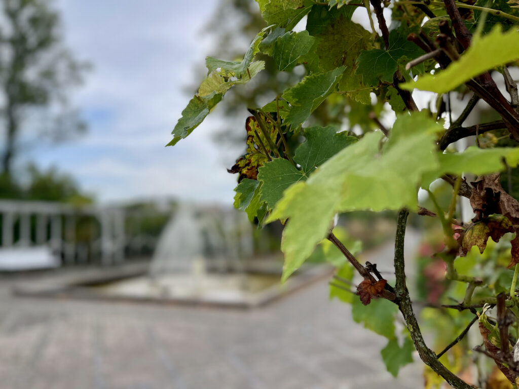 Blick auf den Springbrunnen am Rande des Kurparks in Bad Waldliesborn