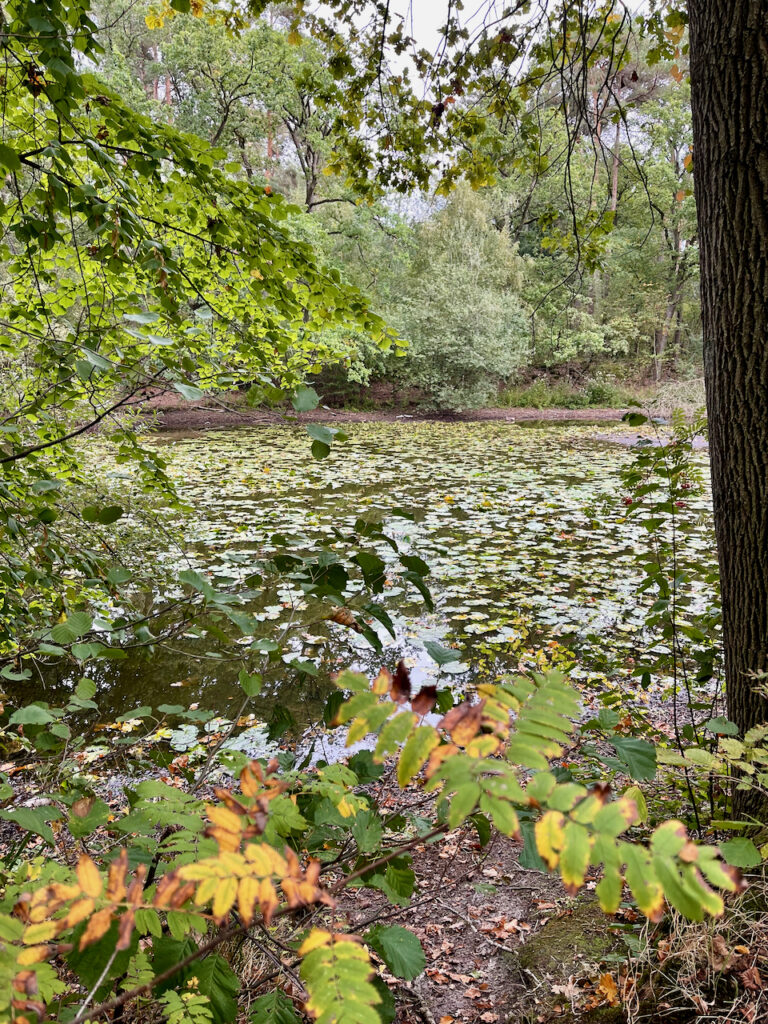 Stopp auf der Fahrradtour von Bad Waldliesborn nach Lippstadt an einem kleinen See 