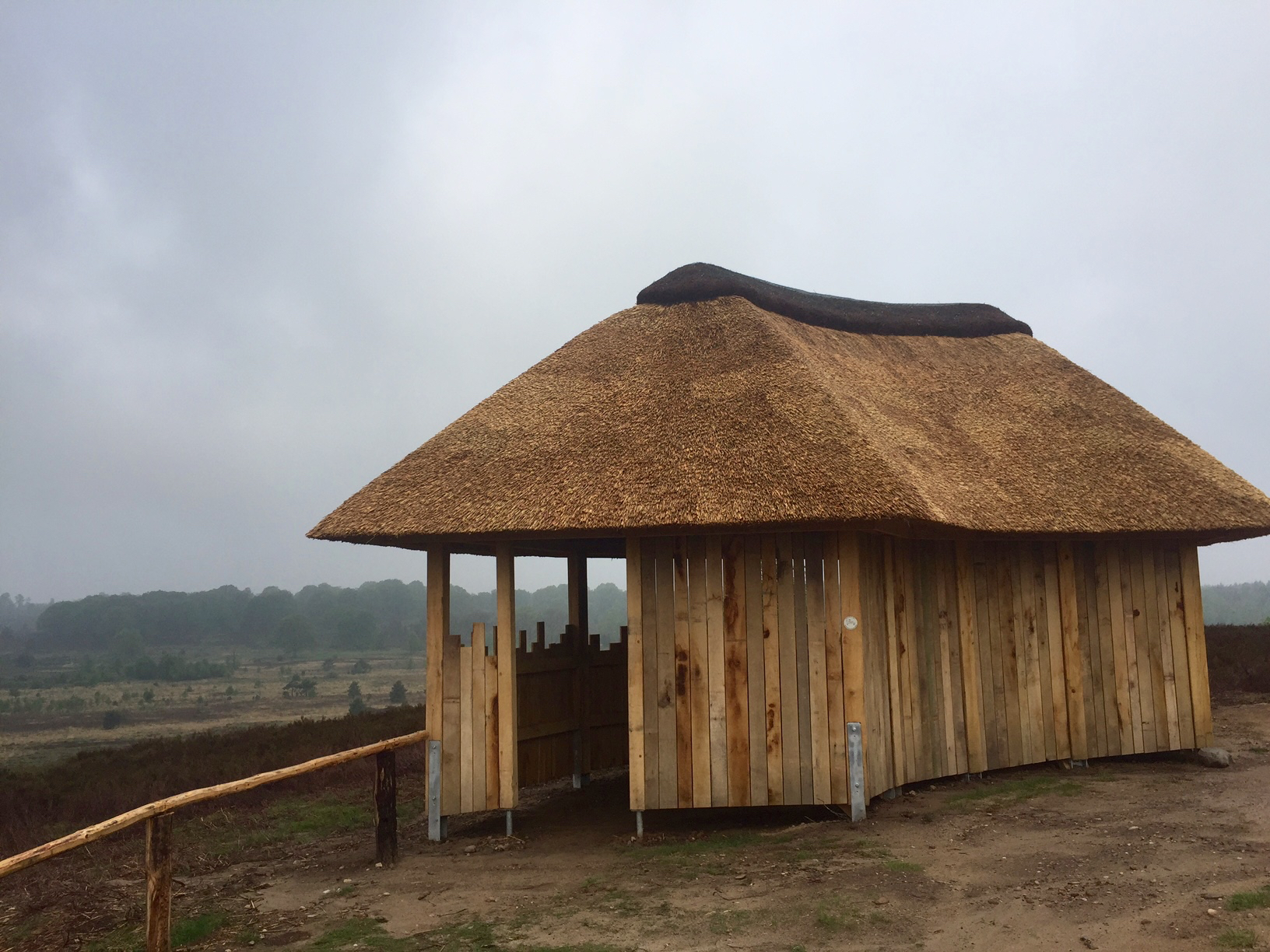 Toepferblick in der Heide