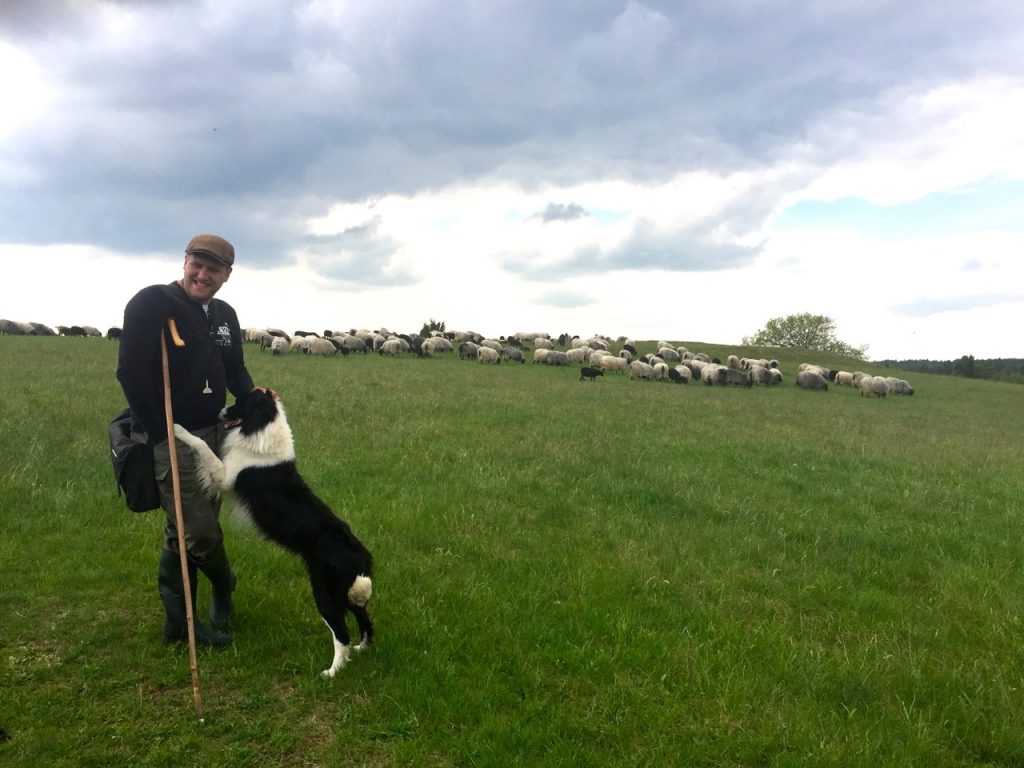 Urlaub Lüneburger Heide mit Hund