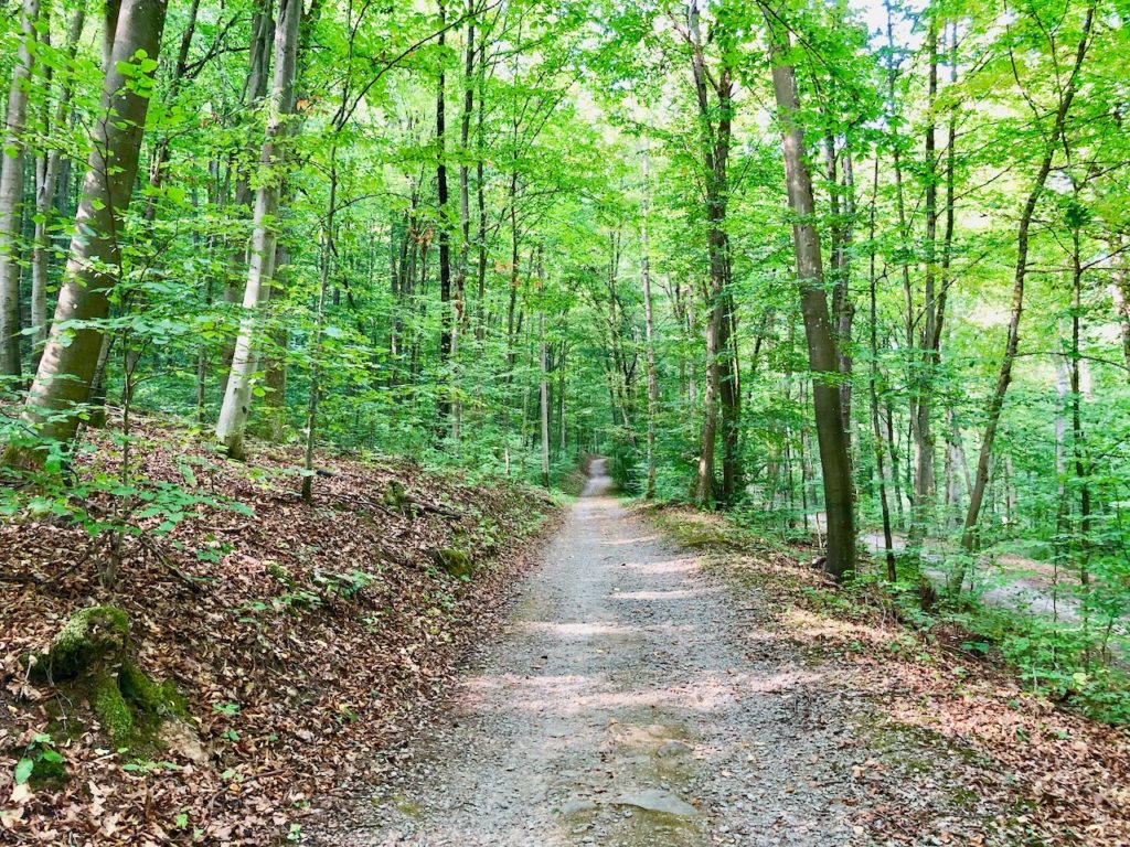 Waldbaden Bad Kissingen