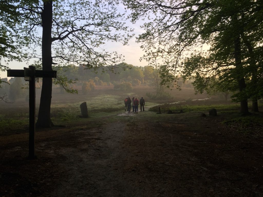 Wir verlassen den Wald