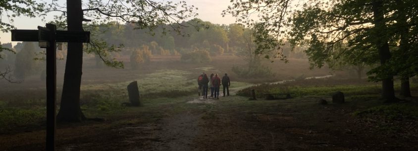 Wanderurlaub in Bispingen