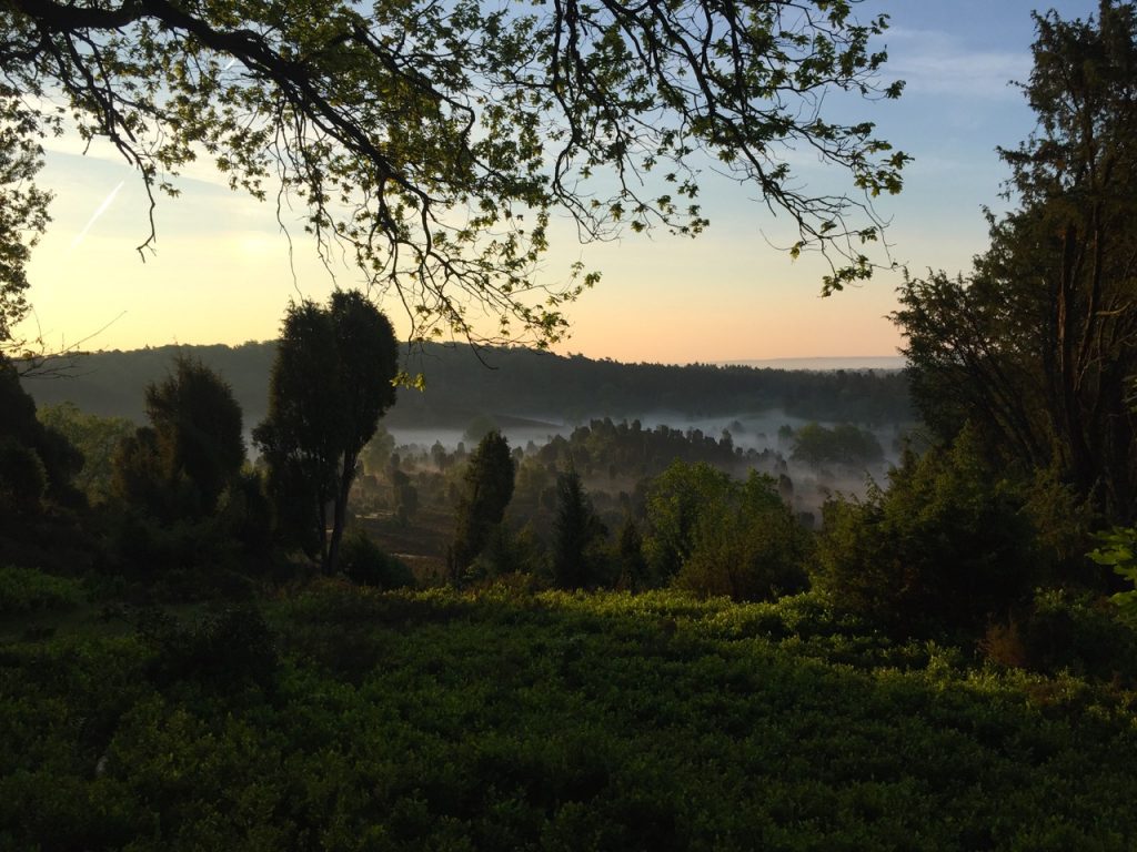 Sonnenaufgangswanderung zum Totengrund Bispingen 