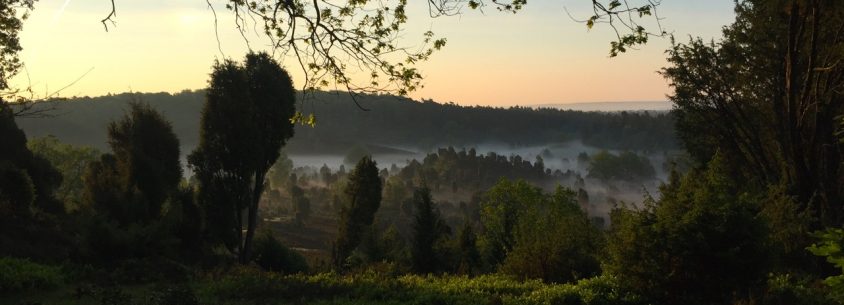 Sonnenaufgangswanderung zum Totengrund Bispingen